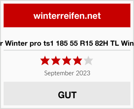  Tourador Winter pro ts1 185 55 R15 82H TL Winterreifen Test
