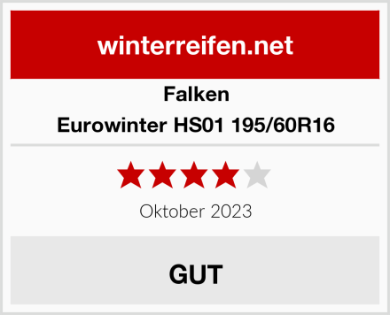 Falken Eurowinter HS01 195/60R16 Test