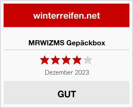  MRWIZMS Gepäckbox Test