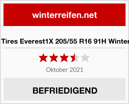  Syron Tires Everest1X 205/55 R16 91H Winterreifen Test
