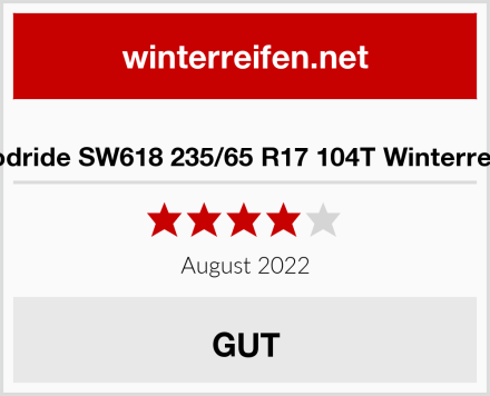  Goodride SW618 235/65 R17 104T Winterreifen Test