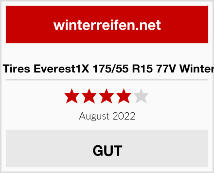  Syron Tires Everest1X 175/55 R15 77V Winterreifen Test