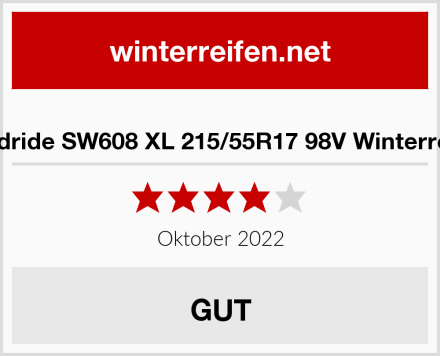  Goodride SW608 XL 215/55R17 98V Winterreifen Test