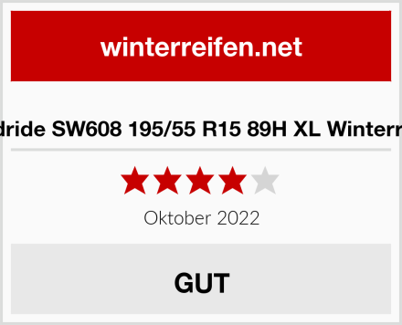  Goodride SW608 195/55 R15 89H XL Winterreifen Test