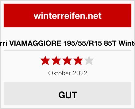  Premiorri VIAMAGGIORE 195/55/R15 85T Winterreifen Test