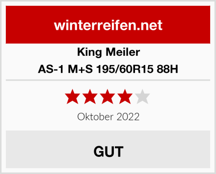 King Meiler AS-1 M+S 195/60R15 88H Test