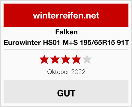 Falken Eurowinter HS01 M+S 195/65R15 91T Test