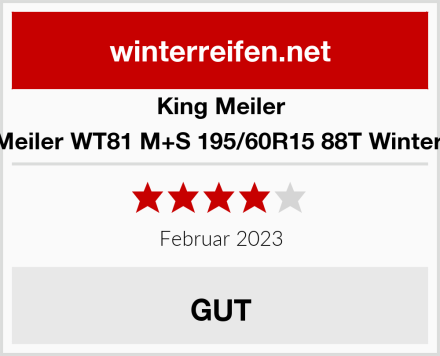 King Meiler King Meiler WT81 M+S 195/60R15 88T Winterreifen Test