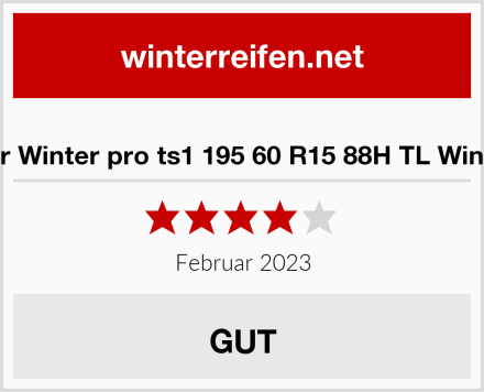  Tourador Winter pro ts1 195 60 R15 88H TL Winterreifen Test