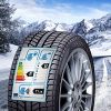  Syron Tires Everest1X 205/55 R16 91H Winterreifen